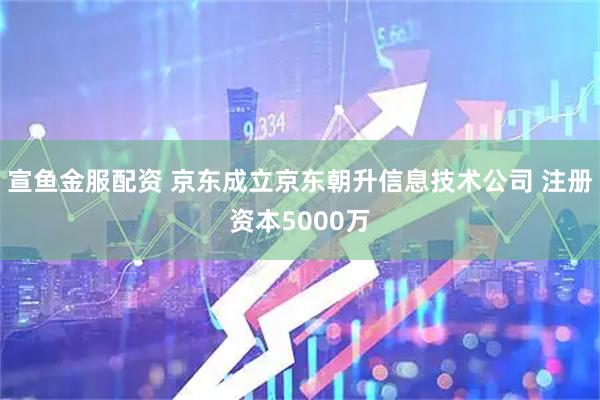 宣鱼金服配资 京东成立京东朝升信息技术公司 注册资本5000万