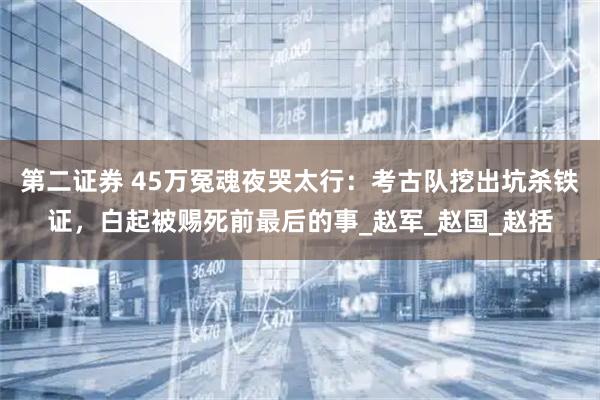 第二证券 45万冤魂夜哭太行：考古队挖出坑杀铁证，白起被赐死前最后的事_赵军_赵国_赵括